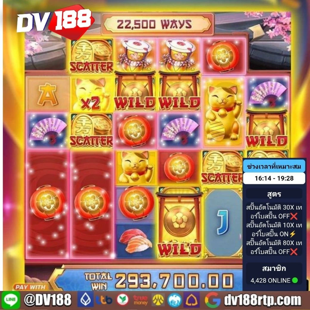 วันนี้รวยcat888 เว็บเกมยอดนิยมแห่งปี เล่นง่าย จ่ายจริง